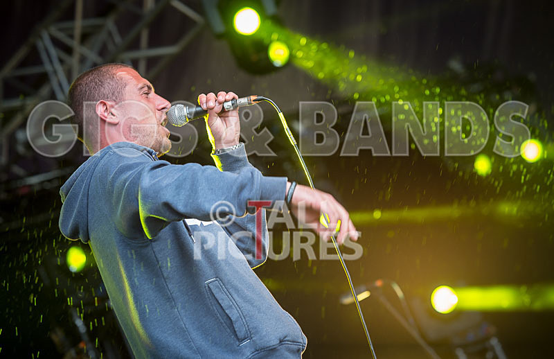 Buffalo Huddleston-399 - BUFFALO HUDDLESTON