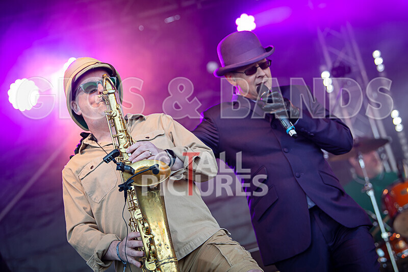 Los Palmos 6 as Madness-21 - LOS PALMOS 6 as MADNESS