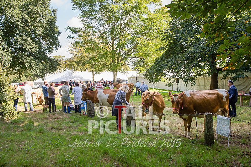 North Show_2014-1 - NORTH SHOW 2014