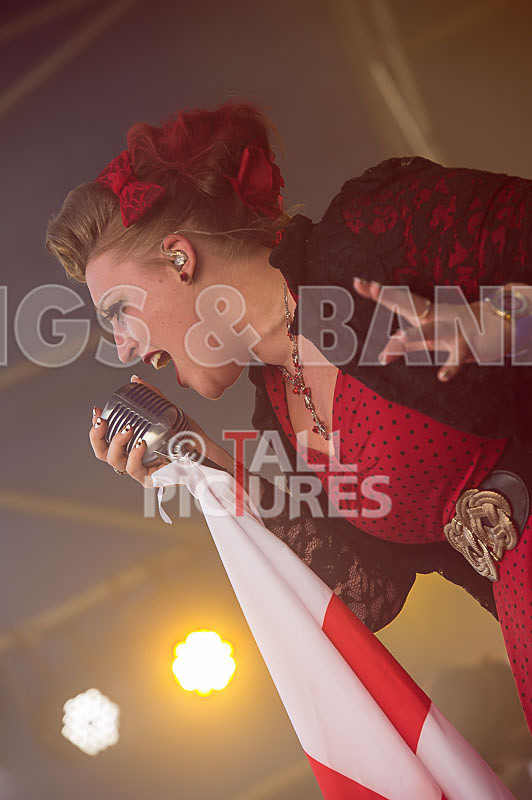 Static Alice-338 - STATIC ALICE