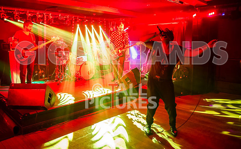 Gay Army-225 - GAY ARMY