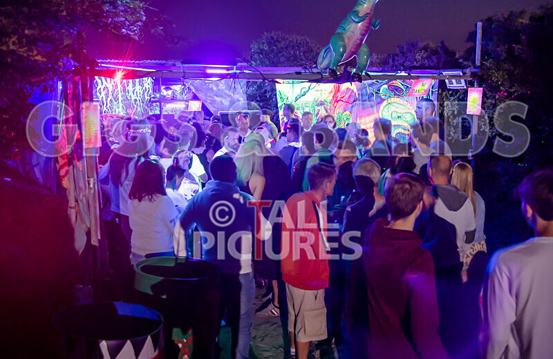 VEF 2021_The Scene-9 - VALE EARTH FAIR 2021_THE SCENE