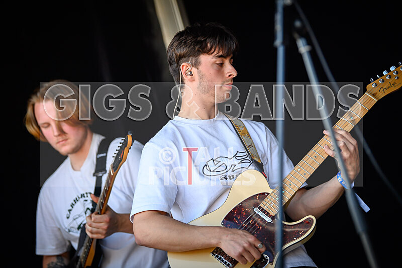 Bloomfield-38 - BLOOMFIELD