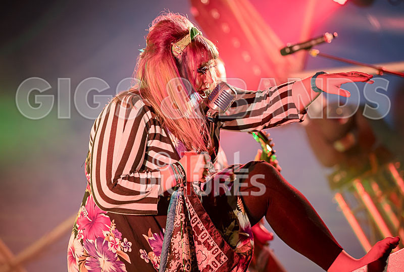 Static Alice-595 - STATIC ALICE