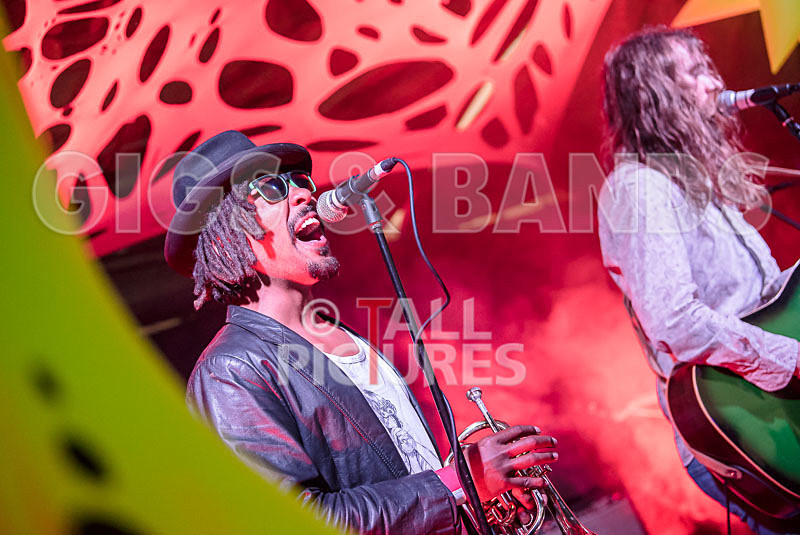 The Recks-676 - THE RECKS