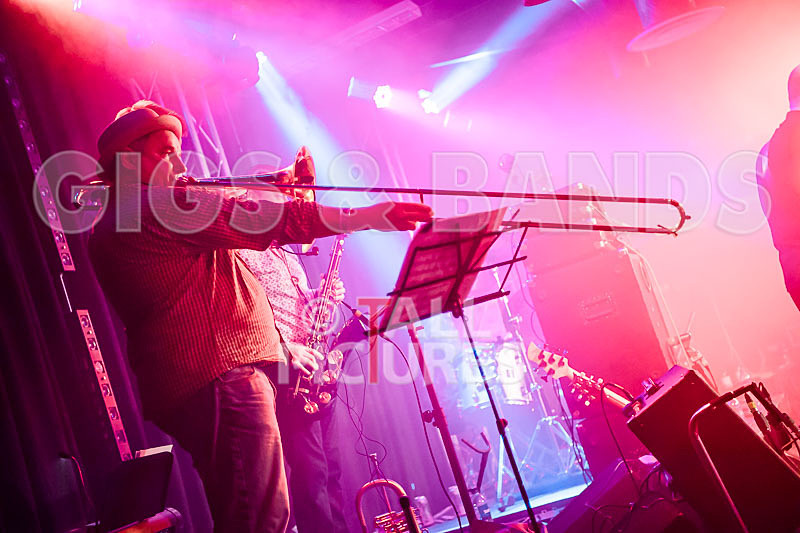 King Rat  the Soul Cats-399 - KING RAT AND THE SOUL CATS