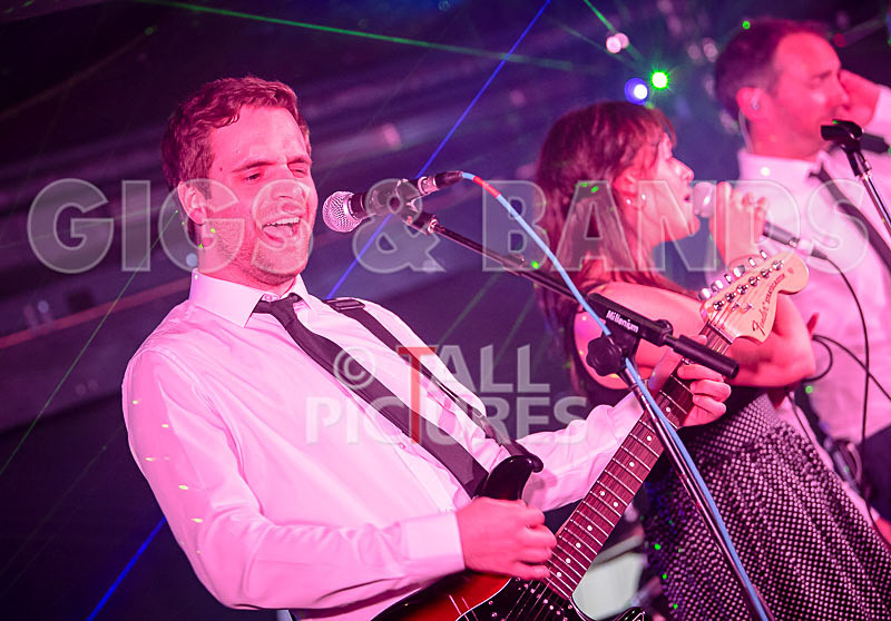 The Erawigs-20 - THE ERAWIGS