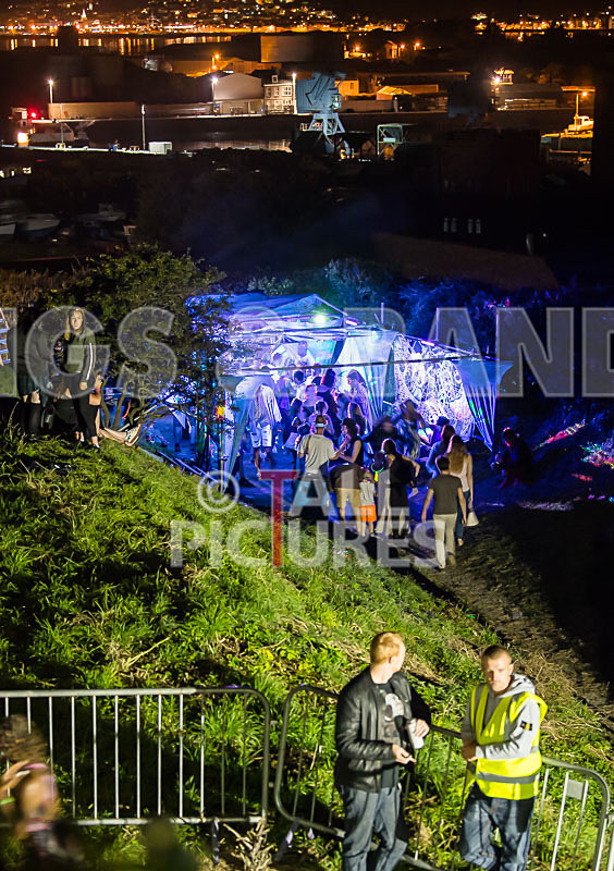 Vale Earth Fair 2017_SCENE-92 - VALE EARTH FAIR 2017_THE SCENE