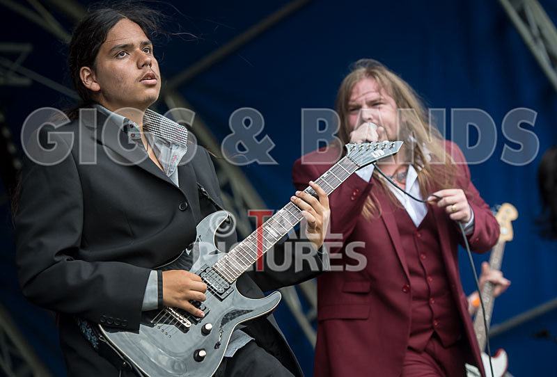 Stone Em All-305 - STONE EM ALL