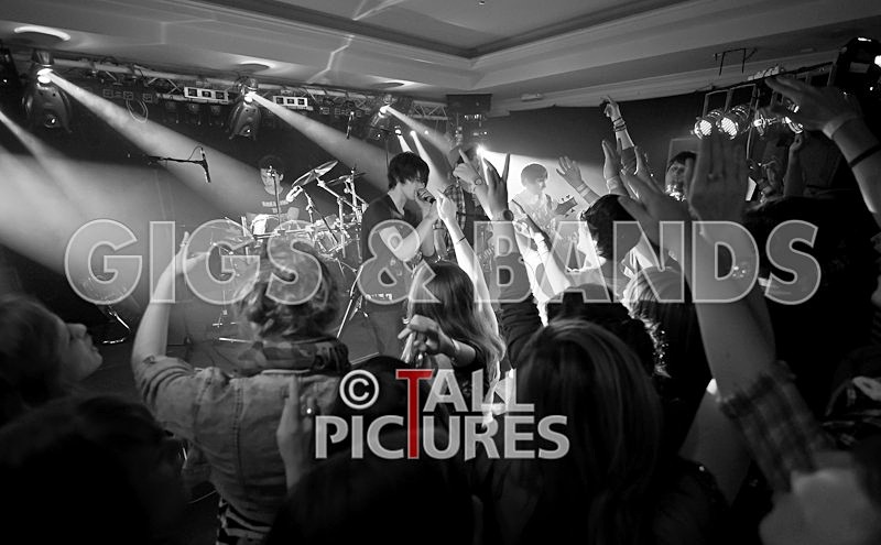 Feedback-75 - FEEDBACK at RoA-8