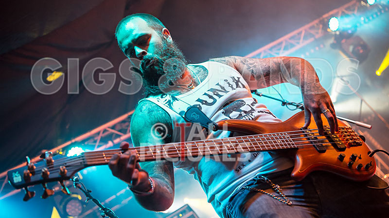 Static Alice-442 - STATIC ALICE