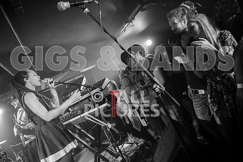 The Skints-41 - THE SKINTS