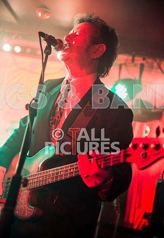 The Pulse-40 - THE PULSE