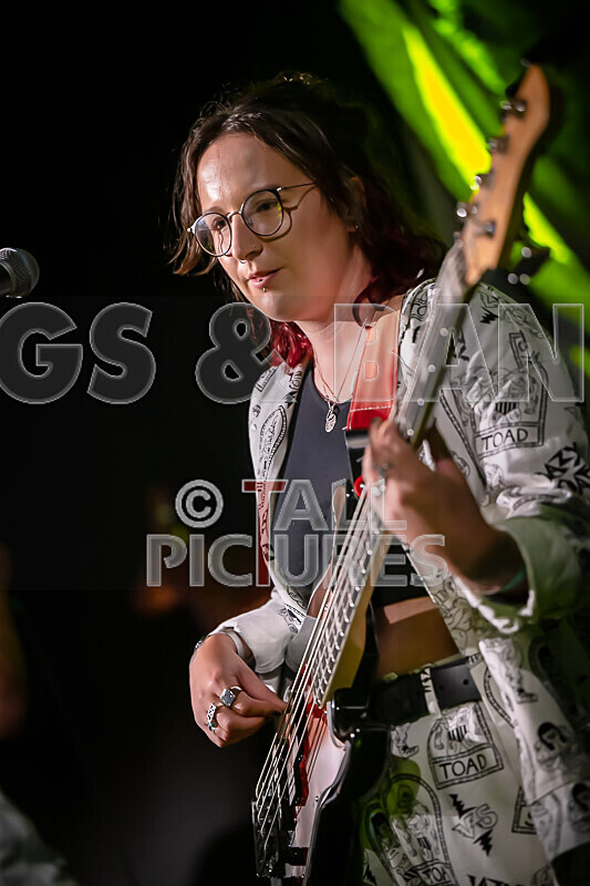 The Pips-75 - THE PIPS