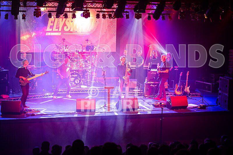 Elysium as Pink Floyd-79 - ELYSIUM as PINK FLOYD