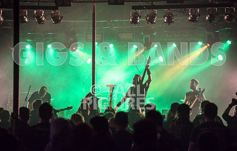 Demise of Sanity-141 - DEMISE OF SANITY