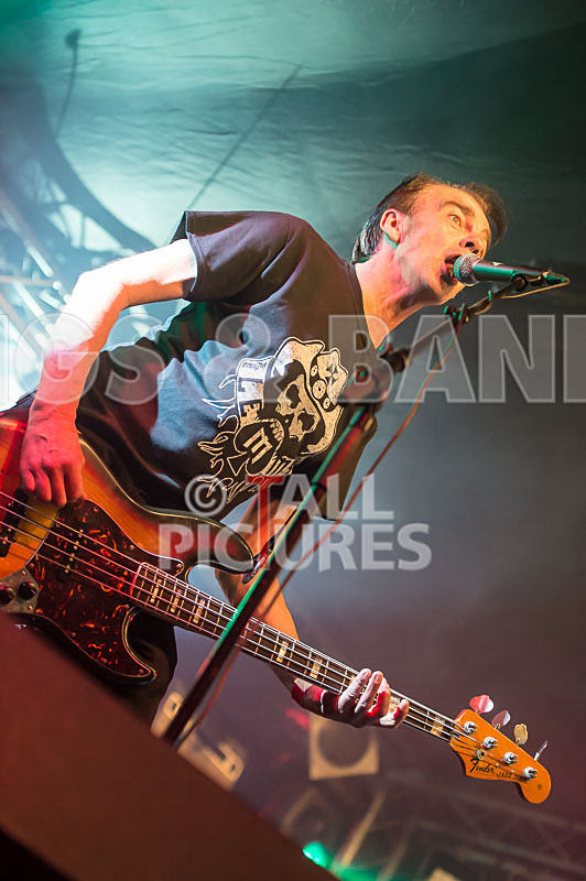 The Electric Shakes-99 - THE ELECTRIC SHAKES