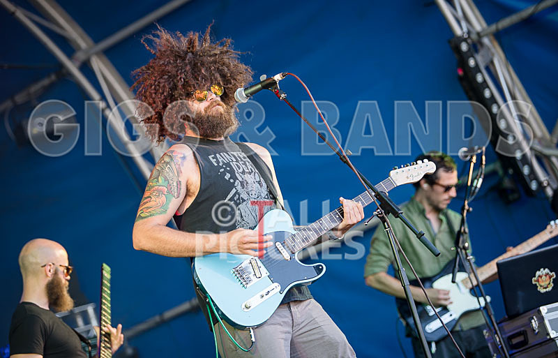 Tree House Fire-33 - TREE HOUSE FIRE