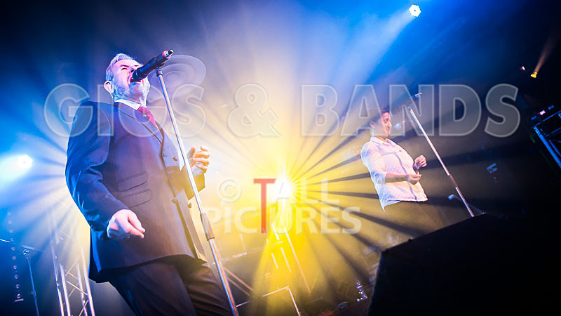 King Rat the Soul Cats-329 - KING RAT AND THE SOUL CATS