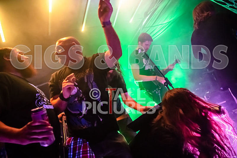 Mechanical Lobster-28 - MECHANICAL LOBSTER