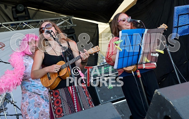 ukuladies-1 - UKULADIES!