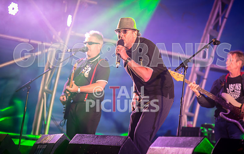 Sons of the Desert-329 - SONS OF THE DESERT