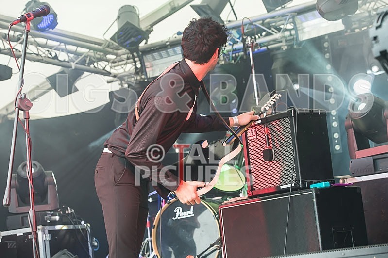 Surfin Birds-16 - THE SURFIN' BIRDS