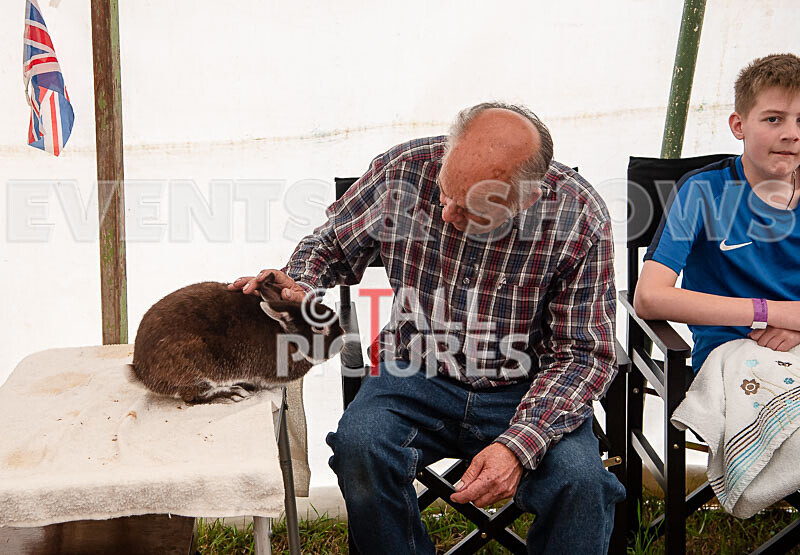 Guernsey Agricultural Show 2021-146 - GUERNSEY AGRICULTURAL SHOW 2021
