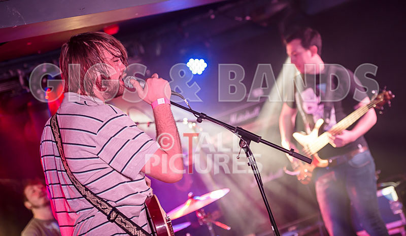 To the Woods-168 - TO THE WOODS