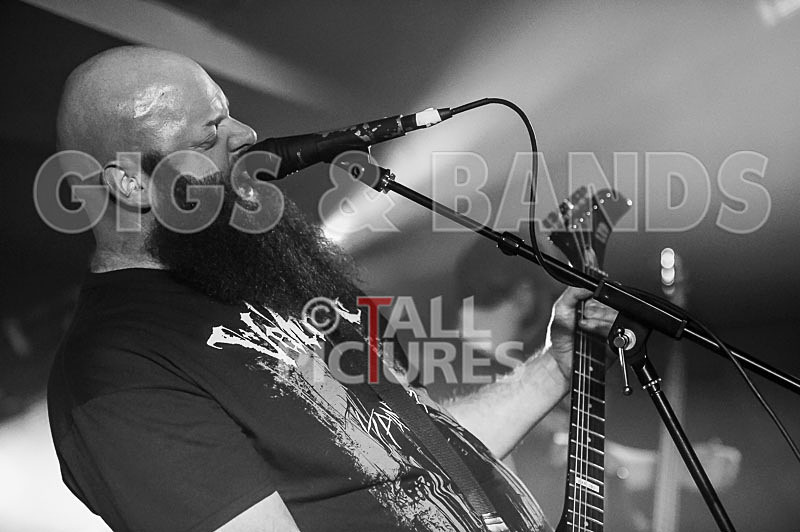 Byzanthian Neckbeard-114 - BYZANTHIAN NECKBEARD