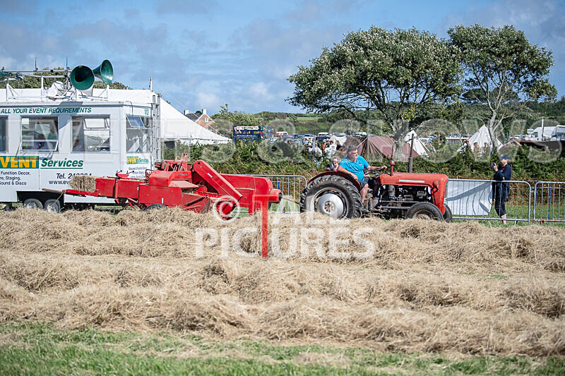 Guernsey Agricultural Show 2021-214 - GUERNSEY AGRICULTURAL SHOW 2021