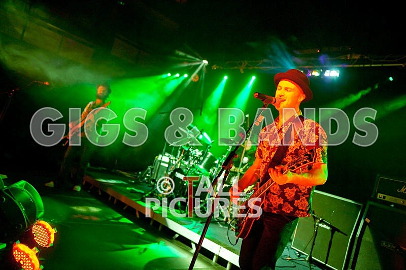 Peppered Ant Legs-23 - PEPPERED ANT LEGS at RoA-3