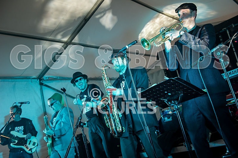 Sons of the Desert_Lib Day_2012-27 - SONS OF THE DESERT