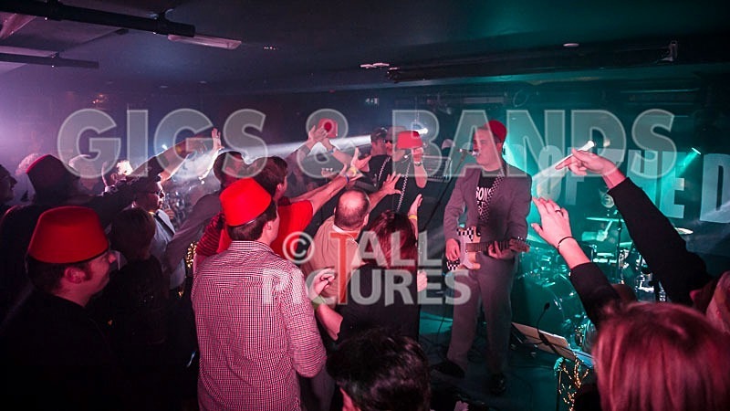 Sons of the Desert-184 - SONS OF THE DESERT