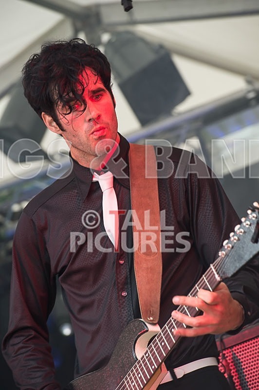 Surfin Birds-13 - THE SURFIN' BIRDS