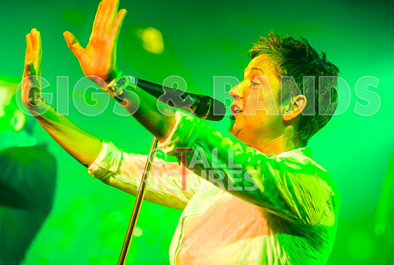 King Rat  the Soul Cats-340 - KING RAT AND THE SOUL CATS