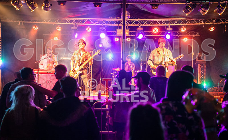 Surfin Birds-49 - SURFIN' BIRDS