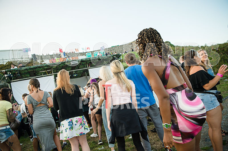 Vale Earth Fair 2017_SCENE-94 - VALE EARTH FAIR 2017_THE SCENE