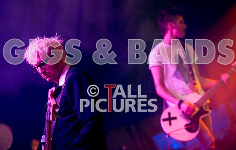 Top Buzzer-19 - TOP BUZZER