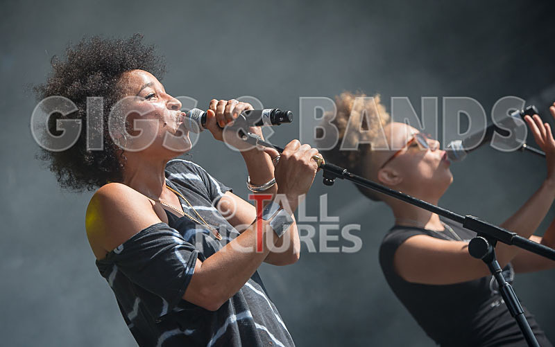 Stereo MCs-33 - STEREO MC's