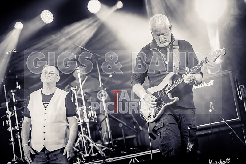 Elysium-340 - ELYSIUM