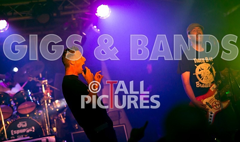 Spunge-37 - [spunge]