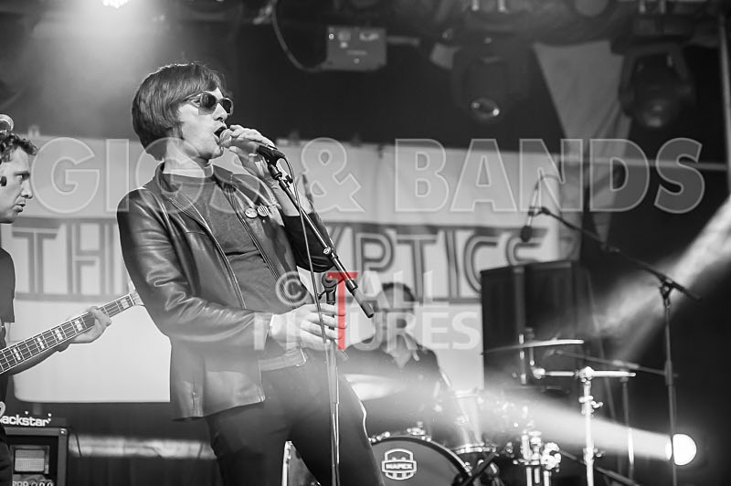 The Cryptics-46 - THE CRYPTICS