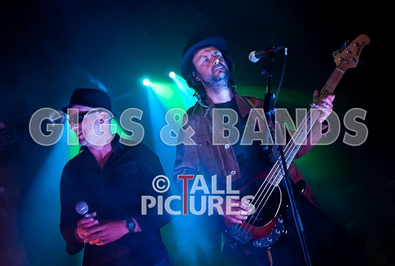 Peppered Ants Legs-22 - PEPPERED ANT LEGS at GREENMAN CHAOS 2009