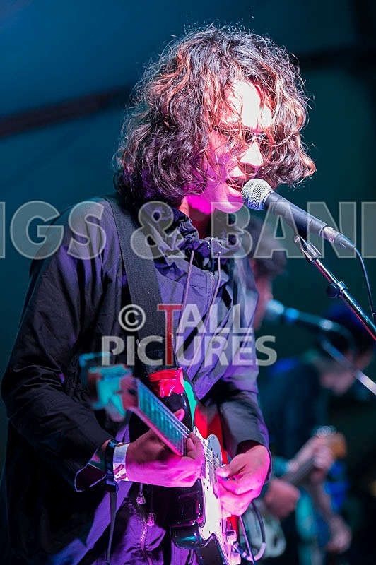 Last Dinosaurs-30 - LAST DINOSAURS