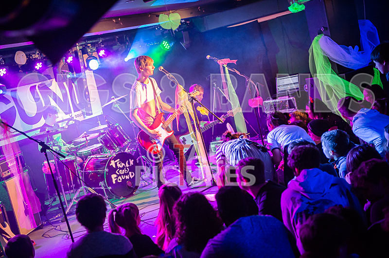 Cosmic Fish-24 - COSMIC FISH