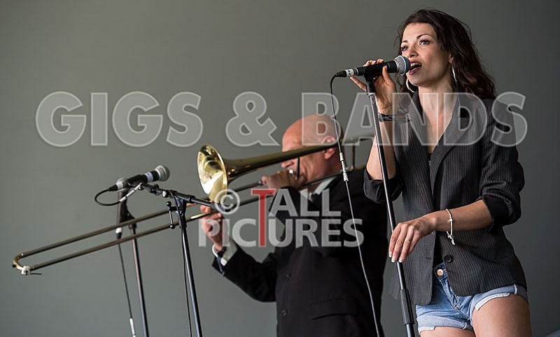 Kitten  The Hip-15 - KITTEN & THE HIP