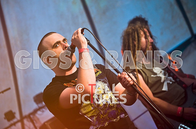 Greenman_Music-328 - GREENMAN CHAOS FESTIVAL 2008 BANDS