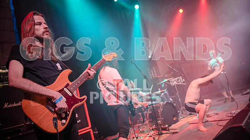 Pigsx7-75 - PIGS PIGS PIGS PIGS PIGS PIGS PIGS