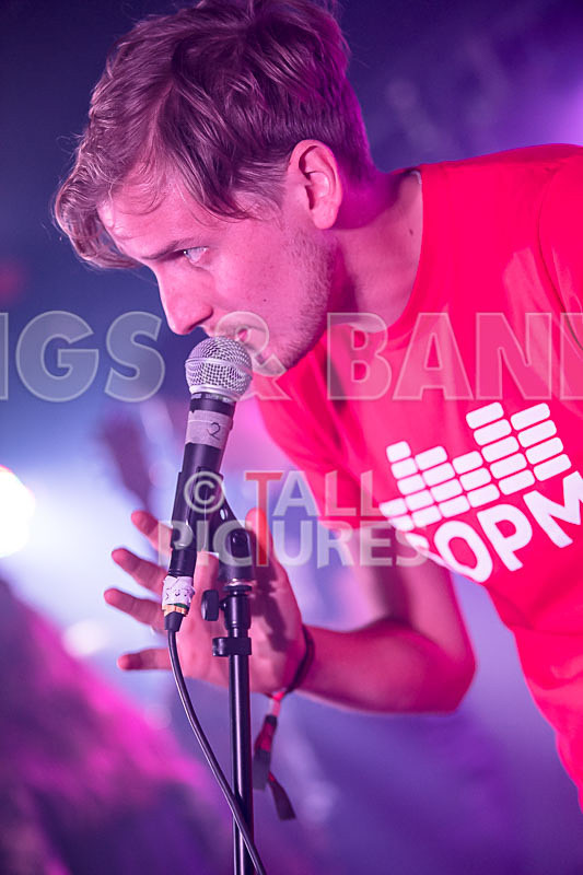 Lady and the Tramps-30 - LADY AND THE TRAMPS